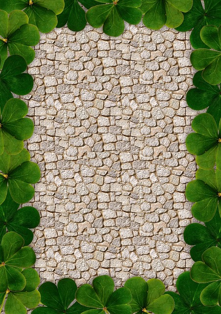 Free frame leaves leaf illustration