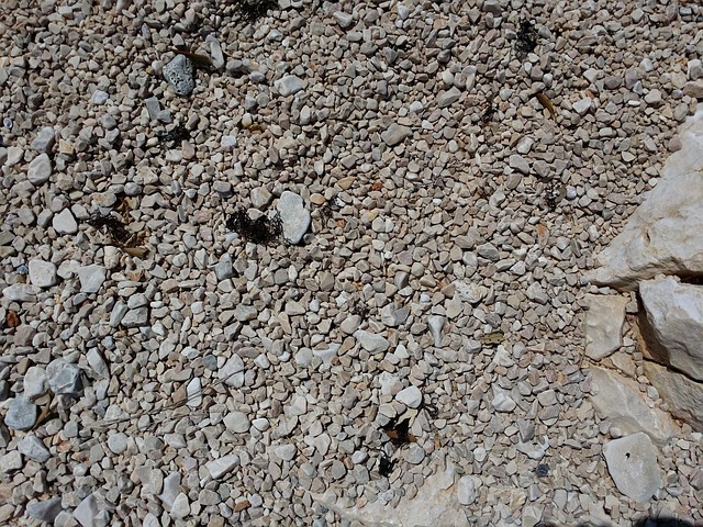 Free Pebbles Shore photo and picture
