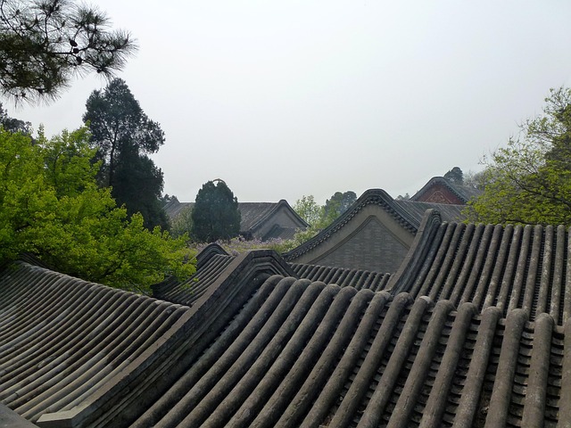 Free China The Roof Of The photo and picture