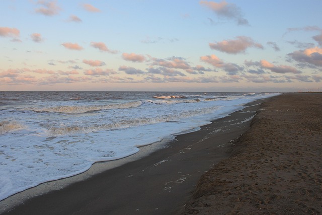 Free Beach Sea photo and picture