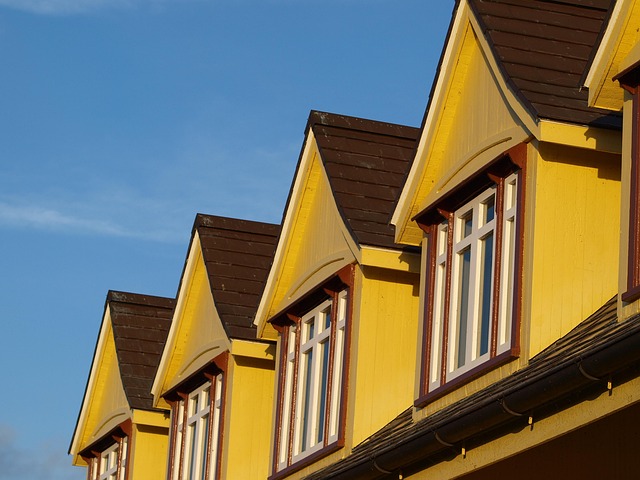 Free Roof Windows photo and picture