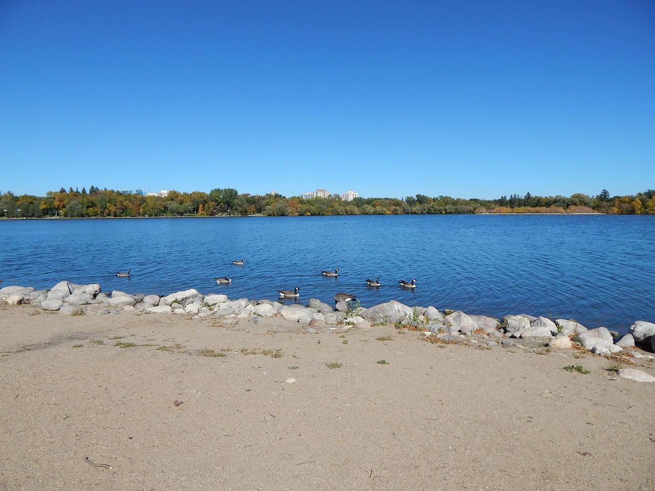 Sand Lake Beach Free photo on Pixabay Pixabay