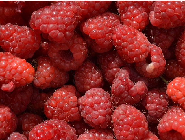 Raspberry Fruit Sweet - Free photo on Pixabay - Pixabay