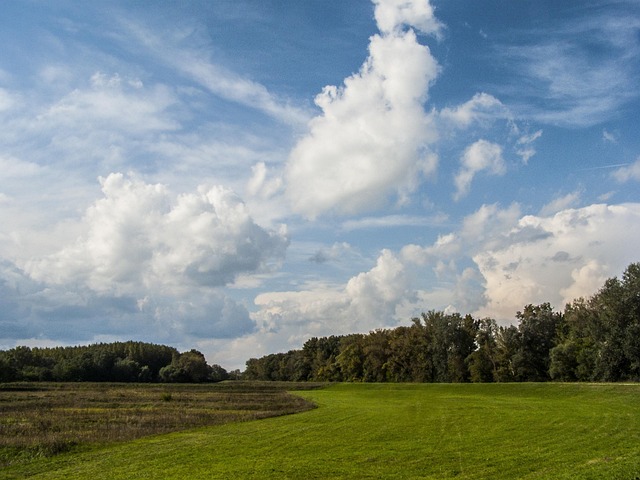 Free Landscape Meadow photo and picture
