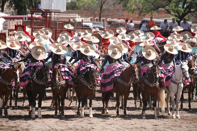 Free Skirmish Mexico photo and picture