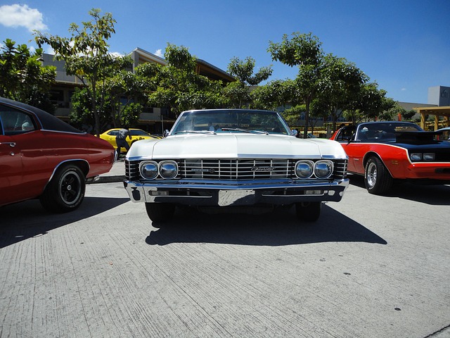Free Chevrolet Car photo and picture
