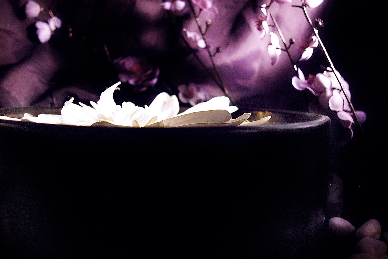 lotus, satin, zen, lotus, zen, zen, zen, zen, zen