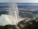 blowhole, ocean, sea