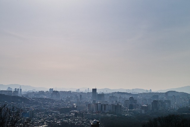 Free Seoul Summer photo and picture