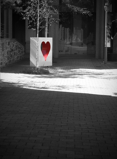 Free Heart Red photo and picture