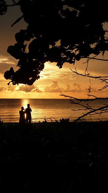 Free Sunset Silhouette photo and picture