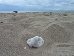 stone, beach, costa