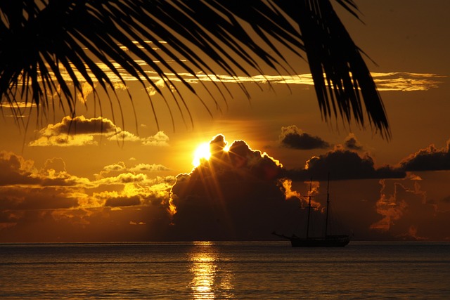 Free Ocean Sea photo and picture