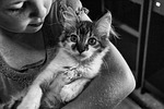 girl, cat, young
