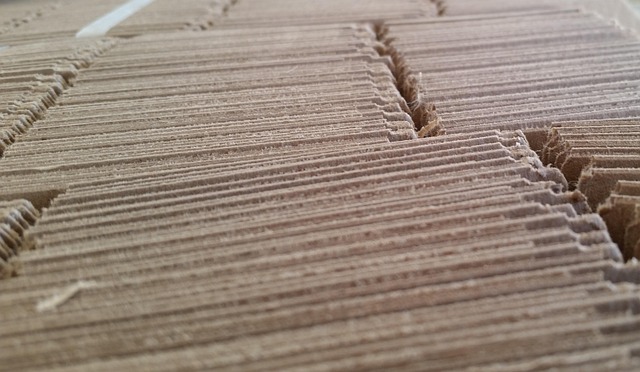 Free Cardboard Perspective photo and picture
