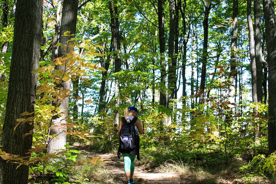 Randonnée Pédestre Sentier Chemin - Photo gratuite sur Pixabay