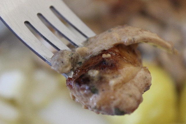Free Fork Flesh photo and picture