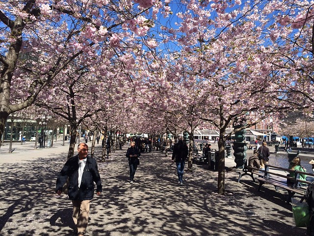 Free Stockholm Spring photo and picture