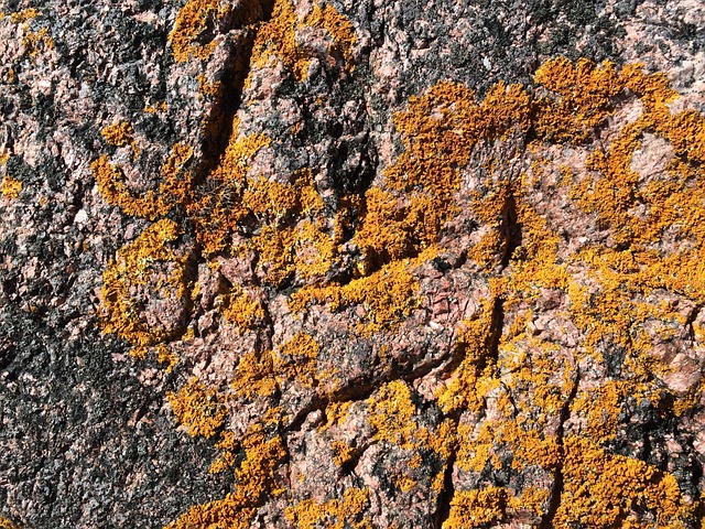 Free Weave Rock photo and picture
