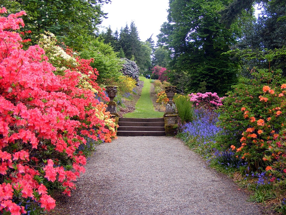 Kostenloses foto: garten, blumen, sträucher, pfad kostenloses ...