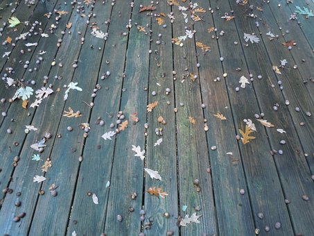 Free Deck Acorn photo and picture