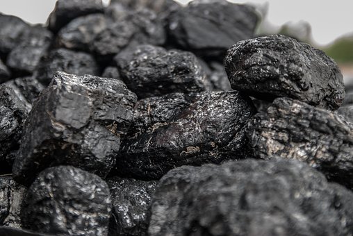 Free Coal Briquette photo and picture
