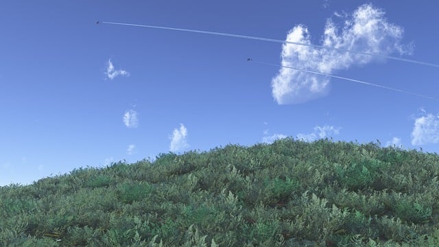 Free sky grass contrail illustration