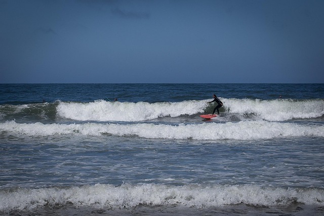Free Beach Surfing photo and picture