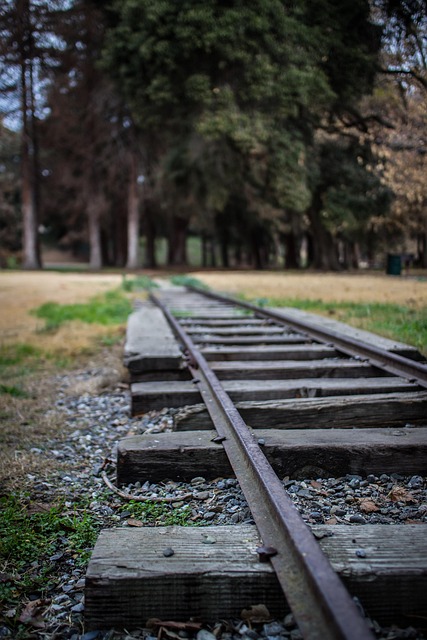Free Track Train photo and picture