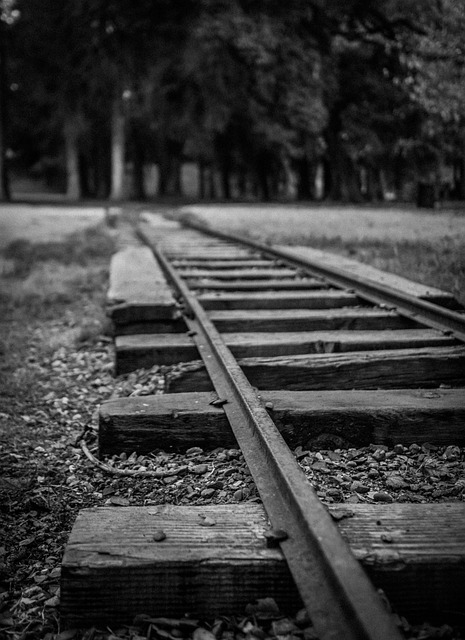 Free Tracks Train photo and picture