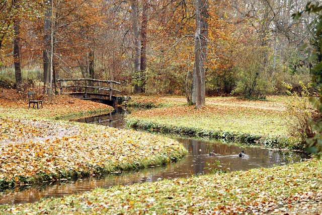 Free Park Autumn photo and picture