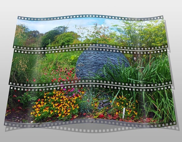 Free filmstrip film camera illustration