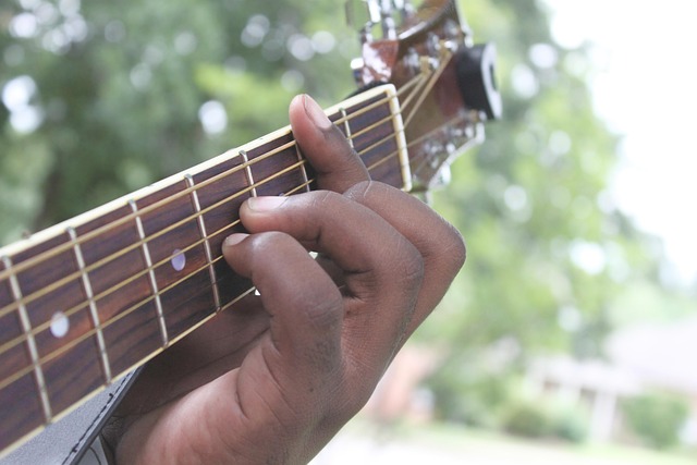Free Acoustic Guitar Instrument photo and picture