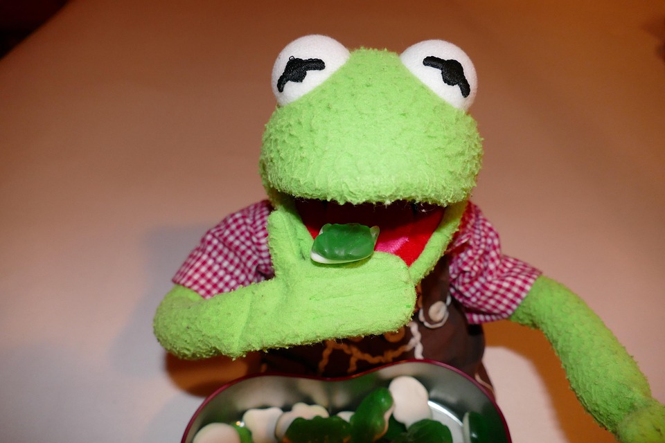 Kermit Rana Mangiare · Foto gratis su Pixabay