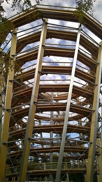 Free Architecture Treetop Path photo and picture