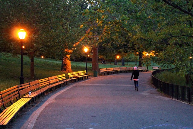 Free Park Inwood Hill photo and picture