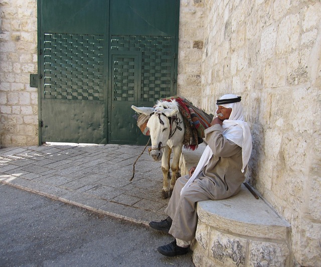 Free Bedouin Man photo and picture