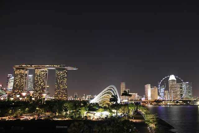 Free Singapore Night photo and picture