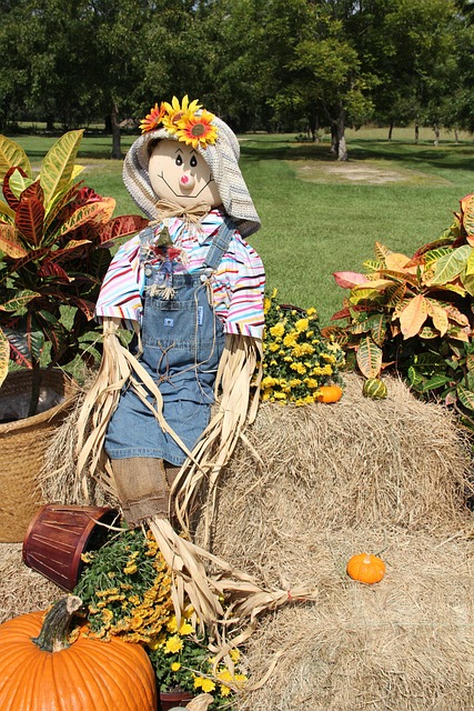 Free Scarecrow Pumpkins photo and picture