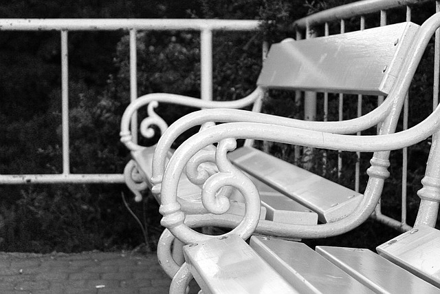 Free Bench Black And White Photo photo and picture