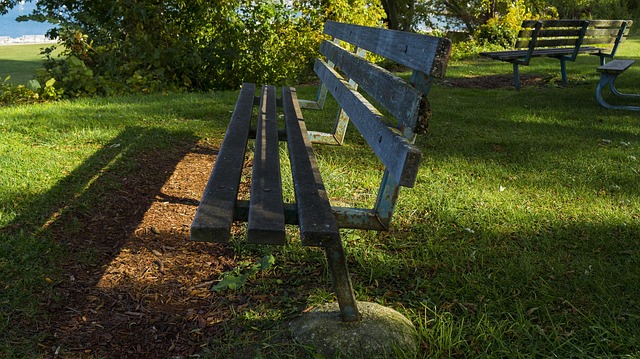 Free Bench Sunlight photo and picture