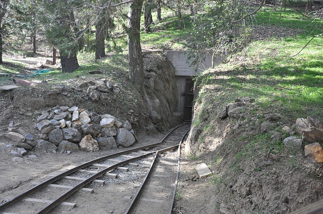 Free Gold Mine Tracks photo and picture
