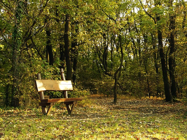 Free Bench Fall photo and picture