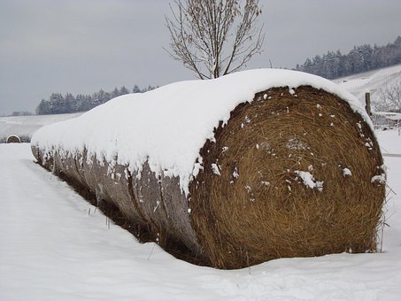Free Straw Bales Straw photo and picture