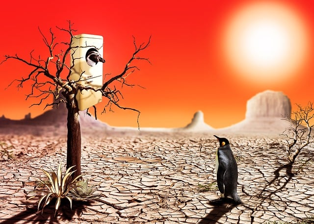 Free photomontage penguin nature illustration