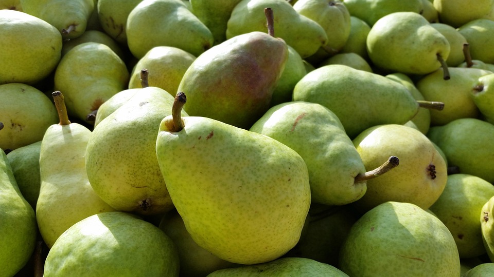 Bartlett Pear Free photo on Pixabay