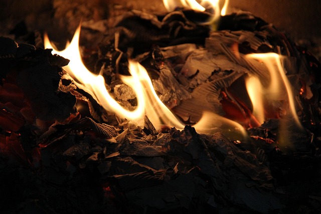 Free Fire Burn Down photo and picture