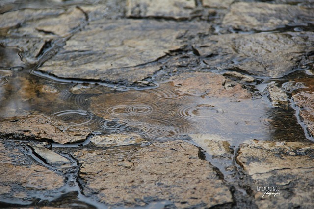 Free Rain Water photo and picture