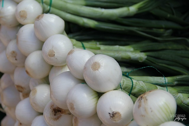 Free Onions Vegetable photo and picture