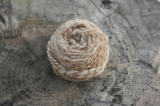 Free Wool Yarn photo and picture